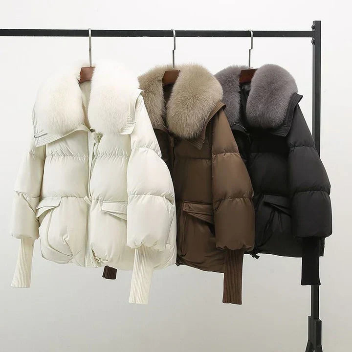 Delia® | Elegant Jacket