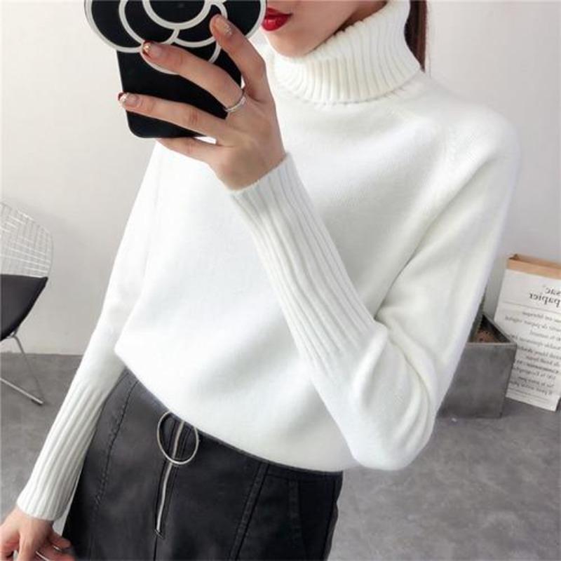 Ashley® | Turtleneck long sleeve autumn sweater for women