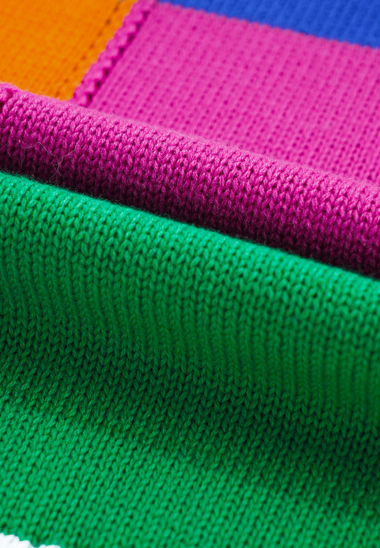 Crispina | Color block sweater with a crew neck and long sleeves