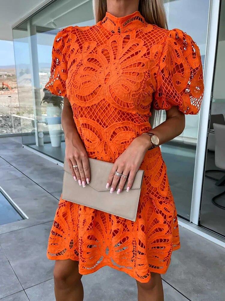 Elara® | Stylish puff sleeve lace dress for women
