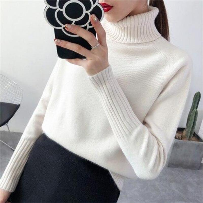 Ashley® | Turtleneck long sleeve autumn sweater for women