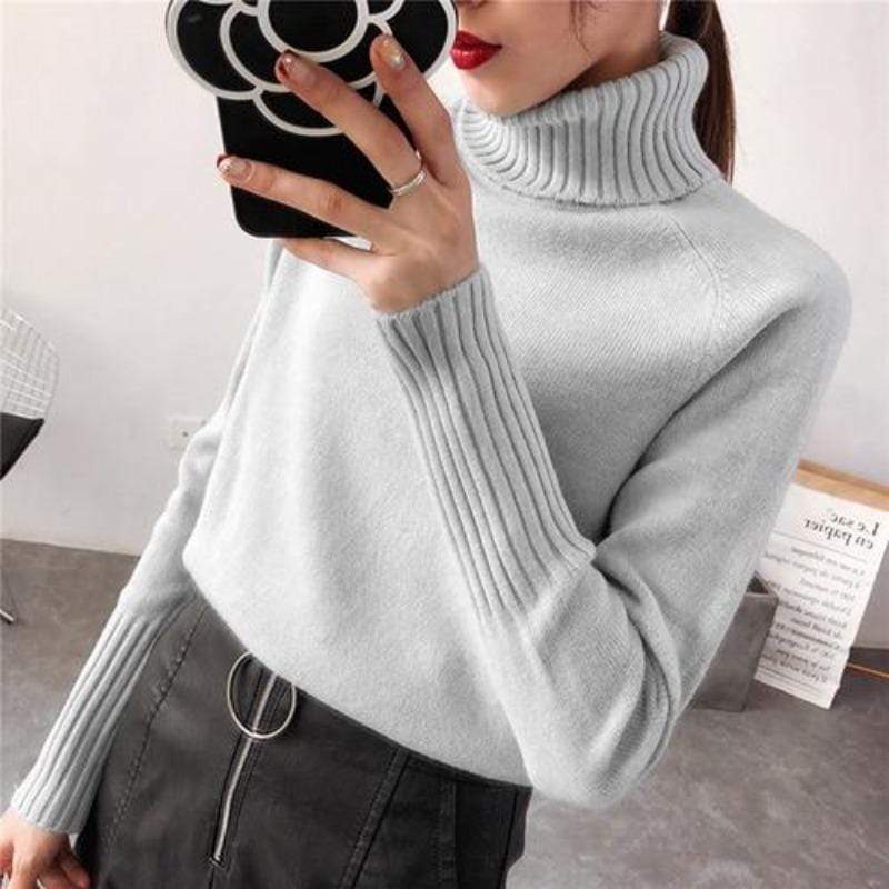 Ashley® | Turtleneck long sleeve autumn sweater for women