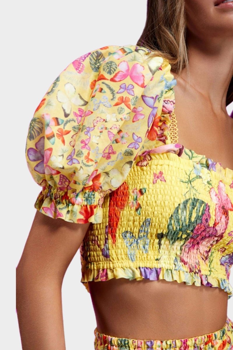 Ariadna® | Printed Set